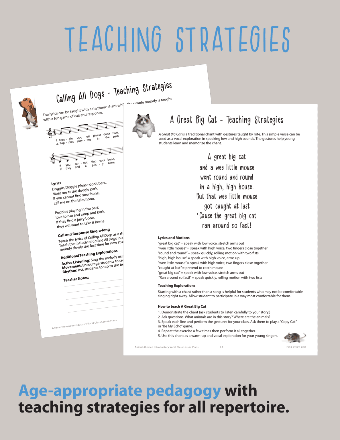 Animal-Themed Introductory Singing Class Lesson Plans - Image 2