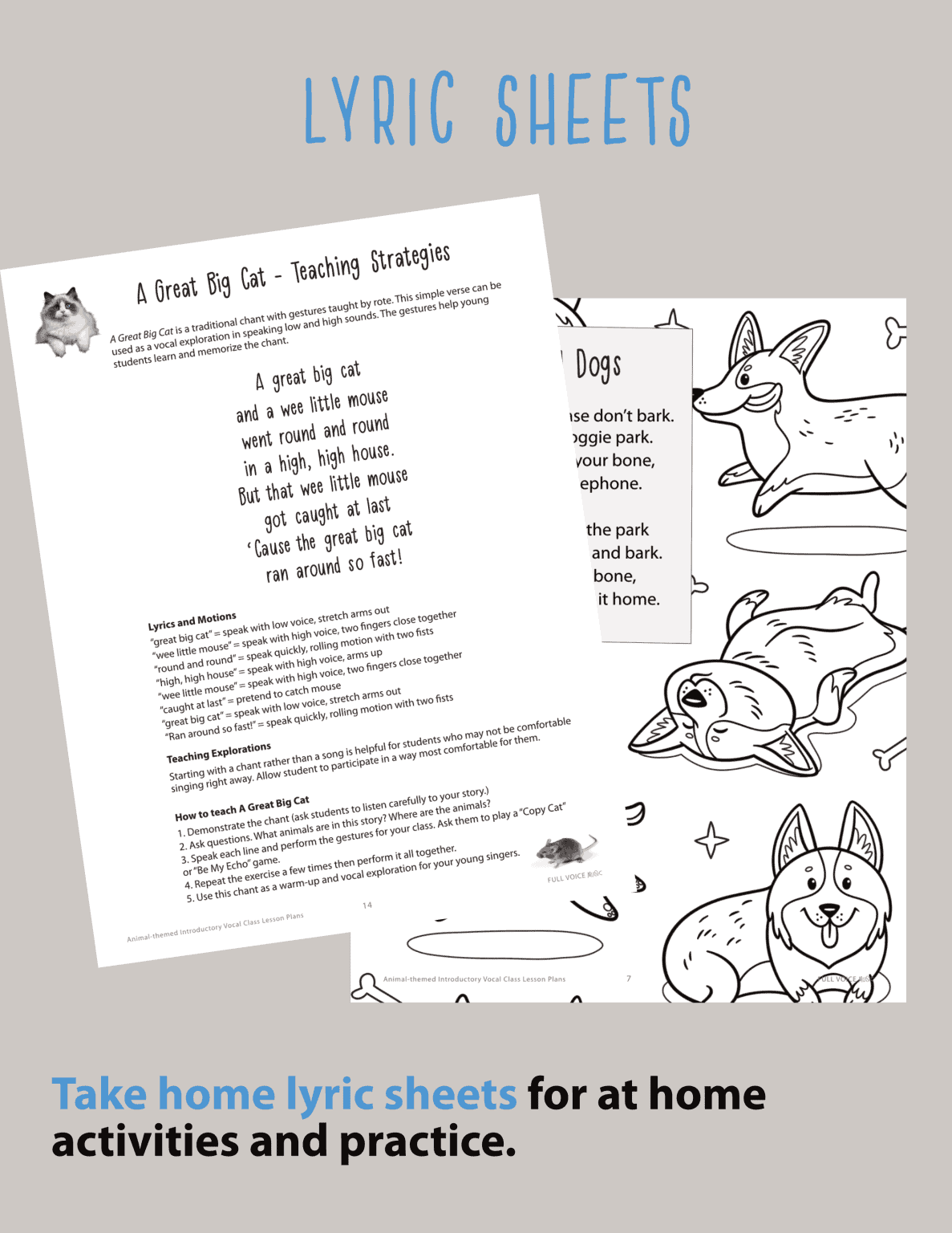 Animal-Themed Introductory Singing Class Lesson Plans - Image 3